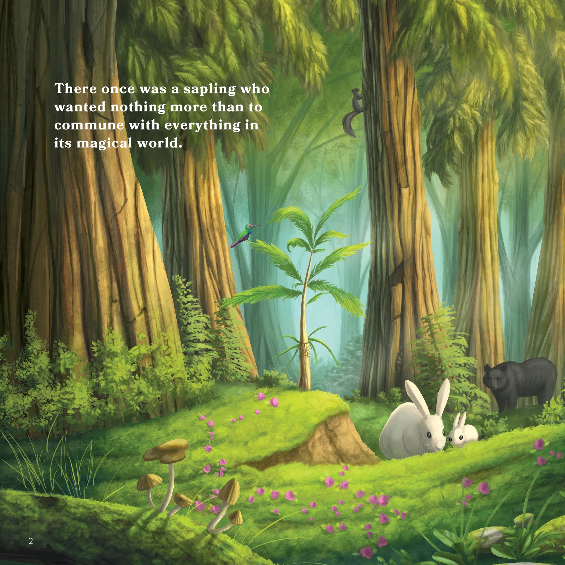 The Seeking Tree- Award-Winning Story that showcases the Beauty of Animals, Nature, and our Earth. A Tree Calls Us to Remember.