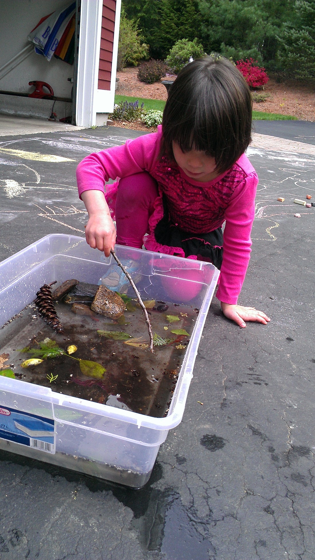 Make an ecotarium at home! Science project!